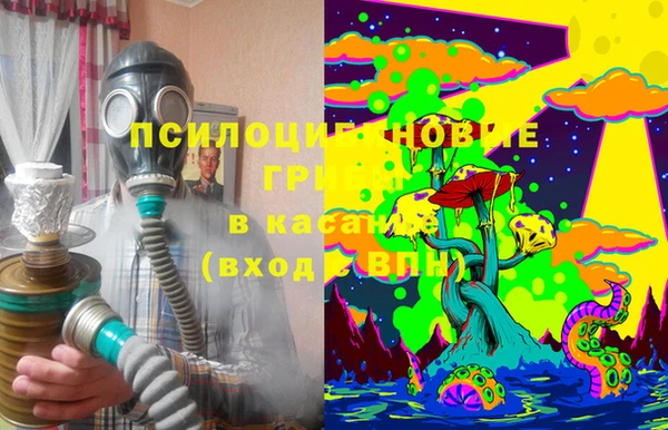 apvp Медногорск